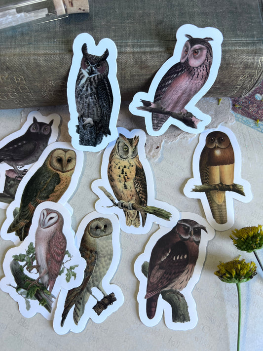 Owl Stickers