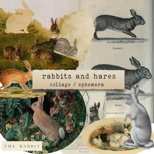 Rabbits & Hares - digital download (printable file)