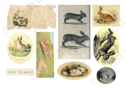 Rabbits & Hares - digital download (printable file)