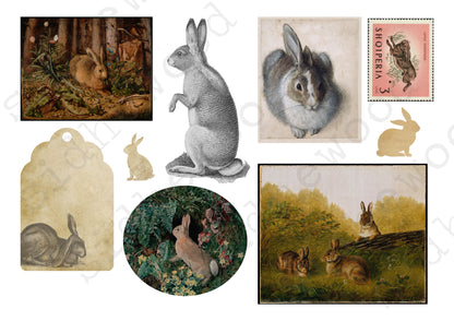 Rabbits & Hares - digital download (printable file)